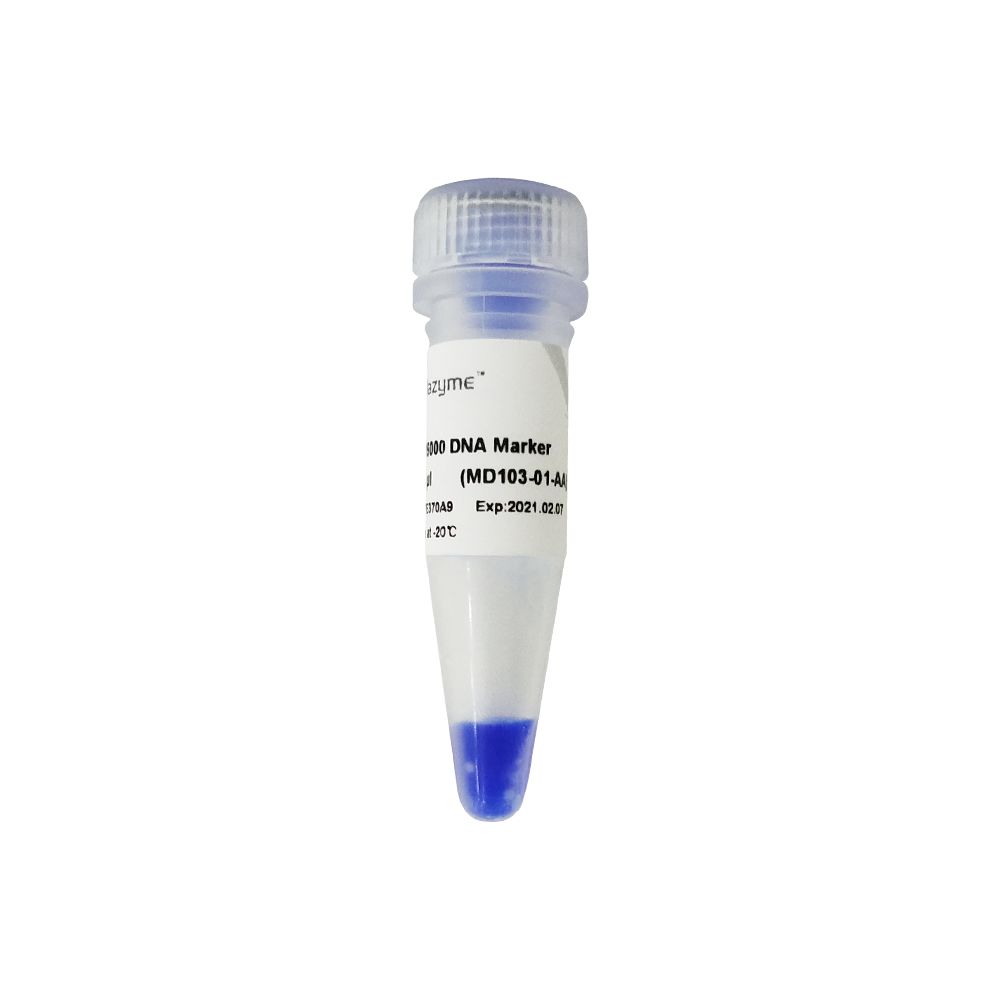 DL 15000 DNA Marker（MD103）
