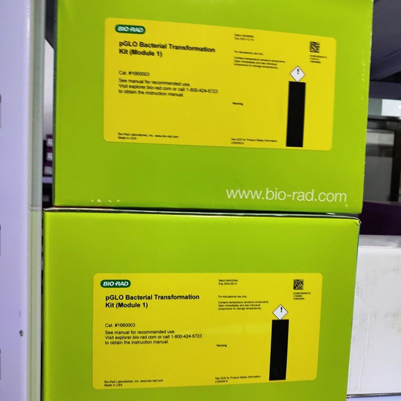 BIO-RAD1660003pGLO™ 细菌转化试剂盒