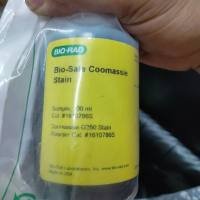 BIO-RAD1610786S生物安全™考马斯污渍Bio-Safe Coomassie Stain