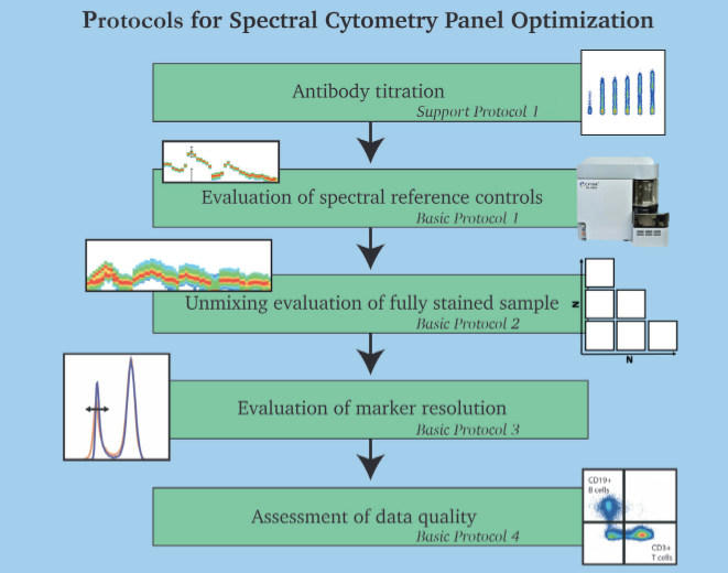 Cytek Biosciences在Malaghan医学研究所设立Cytek®卓越研究中心，推动流式细胞术社区创新!