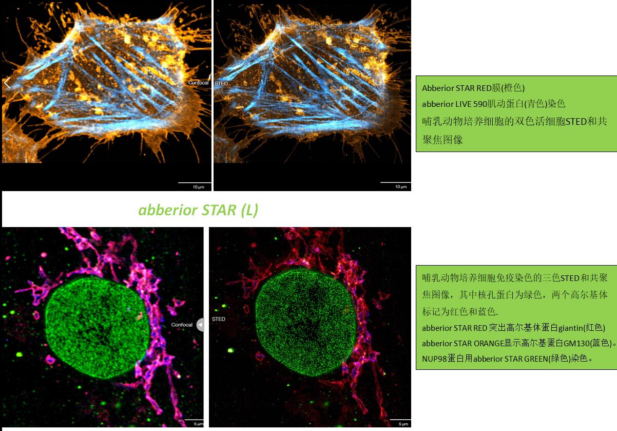 我司常年经销Abberior各系列染料