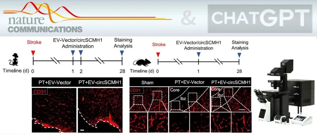 「AI 的狂飙」ChatGPT 都不知道 这项来自中国的研究成果