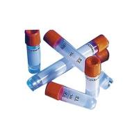 Corning®430487 1.2 mL内旋聚丙烯冻存管,自立式,锥形底