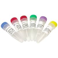 VAHTS Universal DNA Library Prep Kit for Illumina