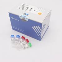 VAHTS Circularization Kit For MGI(适配MGI平台环化试剂)(NM201)