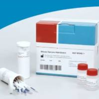 MGHD2 1 Milenia GenLine HybriDetect 2T