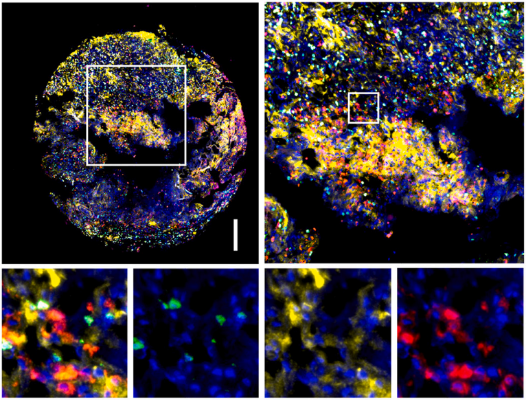 数据挖掘做的好，多色高分跑不了！