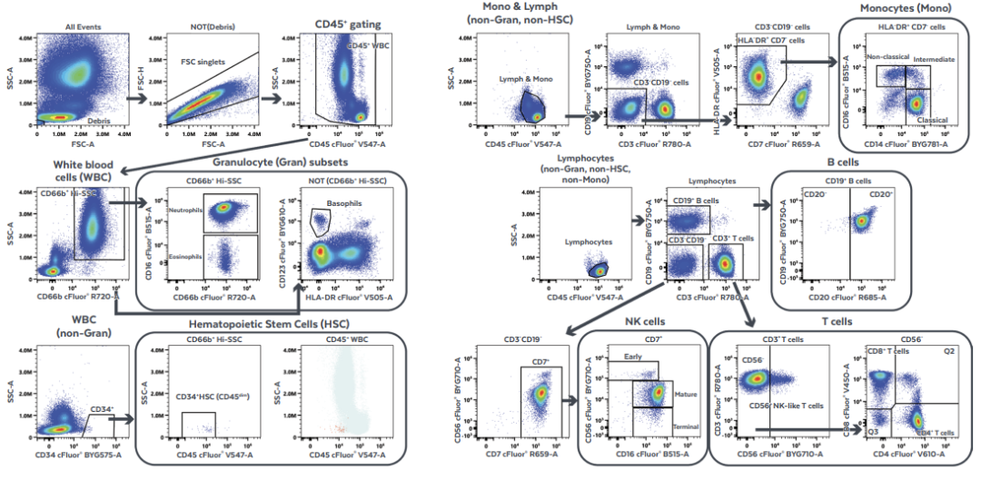 Cytek®推出一管15色人泛白细胞鉴定试剂盒，提供全面完整的白细胞鉴别分析