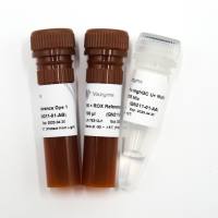 Taq Pro HighGC U+ Multiple Probe qPCR Mix（QN211）