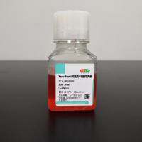 Xeno-Free人间充质干细胞培养基