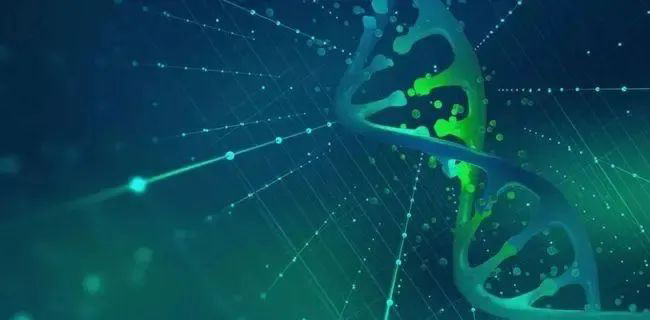 IF＝23.17！ | 看环特斑马鱼技术如何助力10余篇高分科研文章发表，助推各类疾病研究！