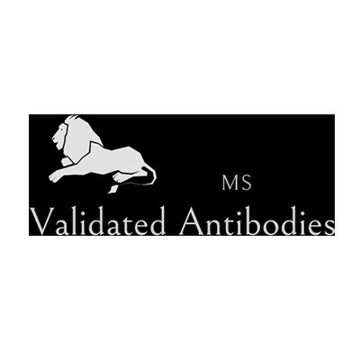 Mesothelin antibody (MSVA-235M)