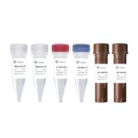 HiScript III U+ One Step qRT-PCR Probe Kit（专为以RNA为模板（RNA病毒）的定量PCR检测而设计）（Q225）