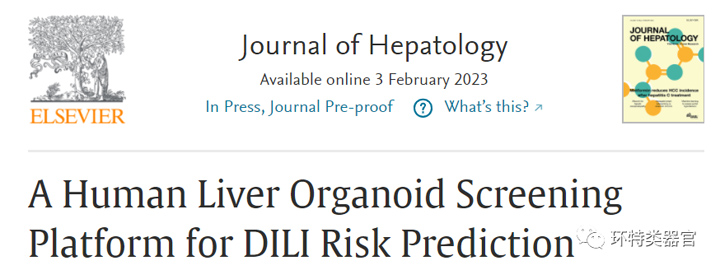 肝脏相关研究顶刊J Hepatol（IF>30）：肝脏类器官平台可预测药物性肝损伤
