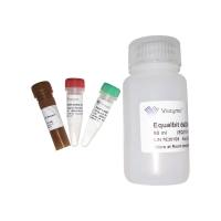 双链DNA（dsDNA）荧光定量检测试剂盒 Equalbit dsDNA HS Assay Kit