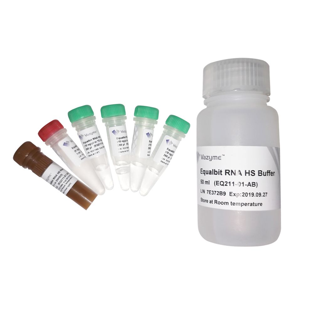 Equalbit RNA HS Assay Kit（EQ211）