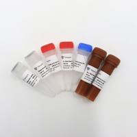 高灵敏度探针法qRT-PCR预混液 HiScript II U+ One Step qRT-PCR Probe Kit(Q222-CN)