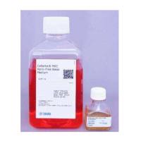 CellArtis Y50053 MiraCellm EC Culture Medium内皮细胞培养基