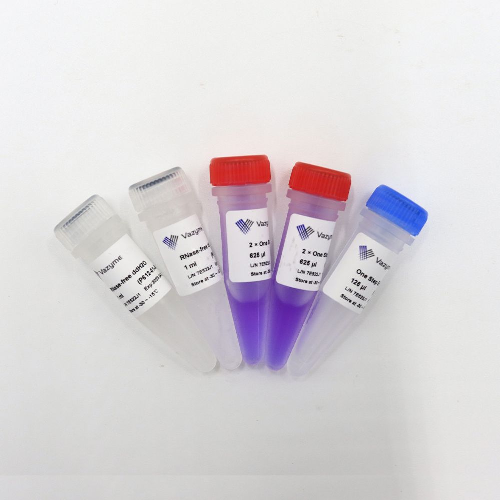 一步法高效RT-PCR试剂盒 HiScript II One Step RT-PCR Kit (Dye Plus)（P612）