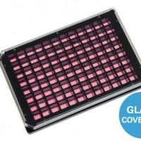 ibidi µ-Plate 96孔培养板，玻璃底 -89627