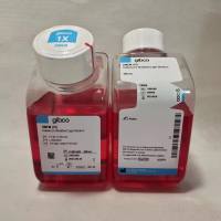 Gibco 11995065 DMEM高葡萄糖 丙tong酸