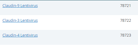 Claudin蛋白家族的结构和功能-BPS Bioscience