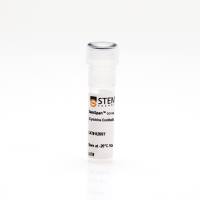 StemCell 02697 StemSpan™ CC110无血清培养添加剂