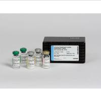 LONZA N384PYROGEN -5000动态浊度法检测