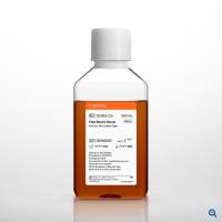 Corning 35-010-CV Fetal Bovine Serum, USDA approved南美胎牛血清，USDA认可血源地