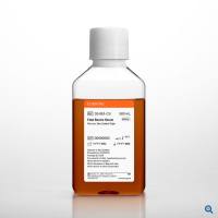 Corning 35-010-CV Fetal Bovine Serum, USDA approved南美胎牛血清，USDA认可血源地