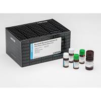 LONZA LT07-418支原体检测试剂盒 MycoAlert Mycoplasma