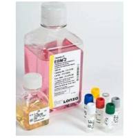 LONZA CC-4176EBM-2 内皮细胞培养基