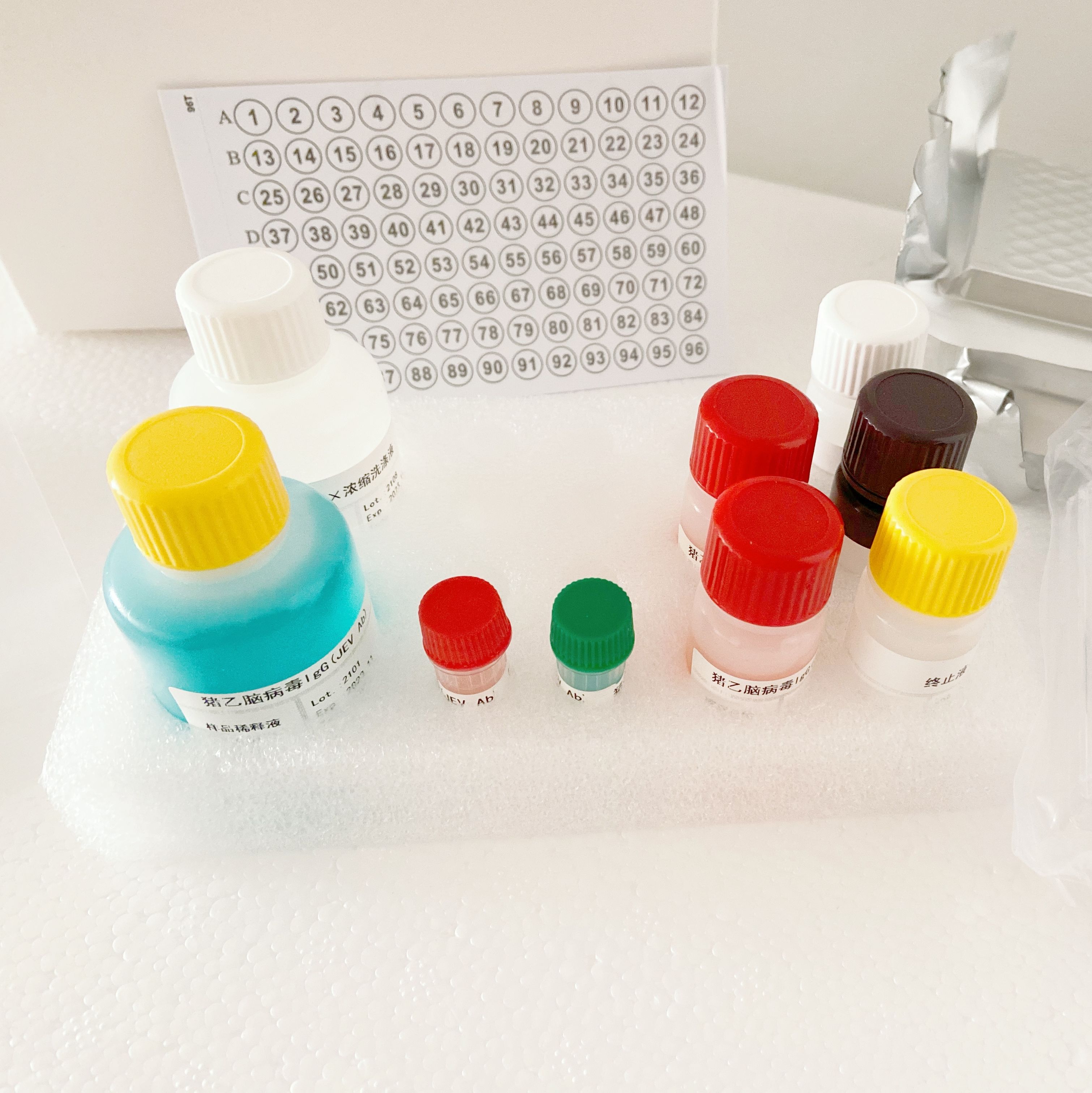 小鼠细胞色素C氧化酶(COX)酶联免疫(Elisa)试剂盒