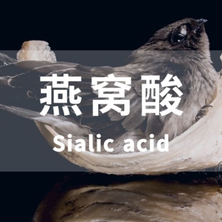 产品封面图