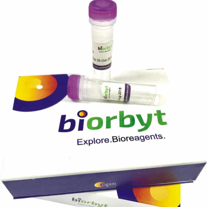BTag Blocking 多肽，orb1460847，biorbyt