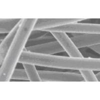 Col-Tget 3D细胞培养基质胶P1720H-1 ( Stiff，1mL )