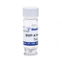 StemRD BMP4-025 bone morphogenetic protein 4, BMP