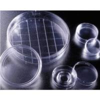 Falcon 353025 150x25mm网格型培养皿,聚苯乙烯,TC,带盖,已灭菌