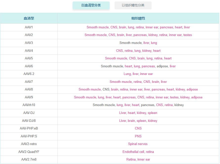 哺乳动物基因编辑gRNA表达腺相关病毒载体(表达单gRNA)