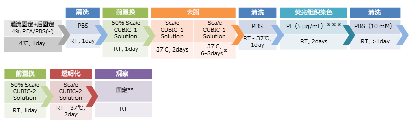 CUBIC 组织透明化试剂