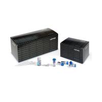 LONZA  VCA-1004 C细胞转染试剂盒 Cell Line Nucleofector ®