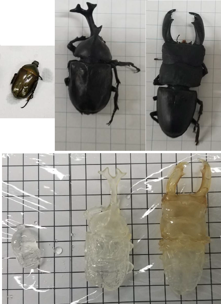 CUBIC 组织透明化试剂