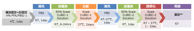 CUBIC 组织透明化试剂