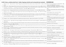 CUBIC 组织透明化试剂