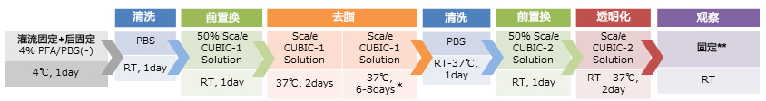 CUBIC 组织透明化试剂