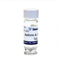 StemRD ACT-025 Activin A, human,人激活素A