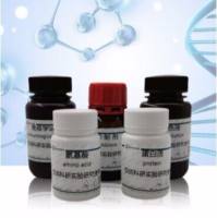 L-胱氨酸(56-89-3)分析标准品，98%