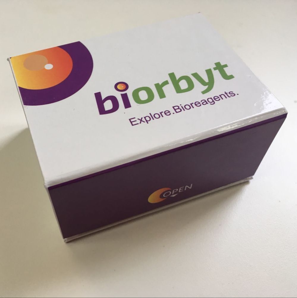 Mouse C5a ELISA Kit 酶联免疫试剂盒，orb735243，biorbyt