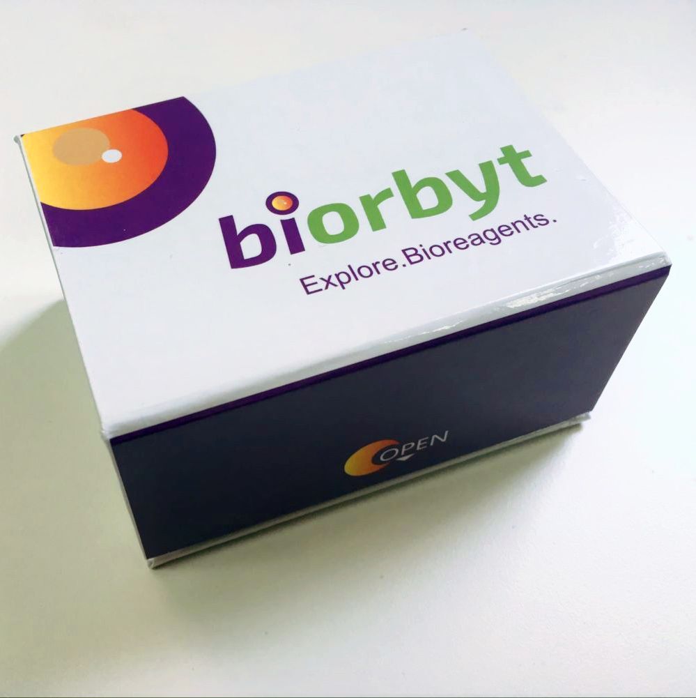 Mouse Apelin ELISA Kit 酶联免疫试剂盒，orb1212473，biorbyt