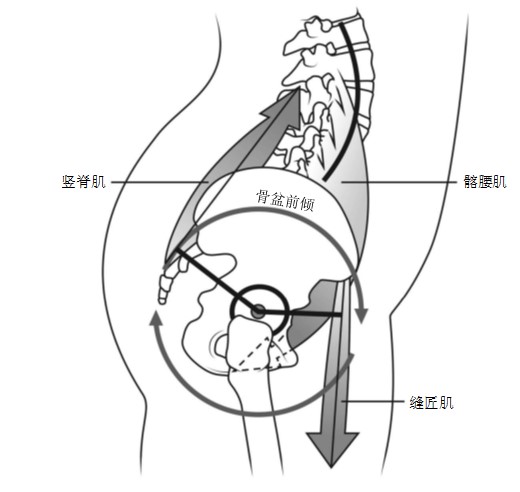 图片预览